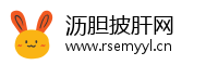 沥胆披肝网